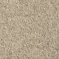 Catania 45oz Wool Twist Carpet - Cookie