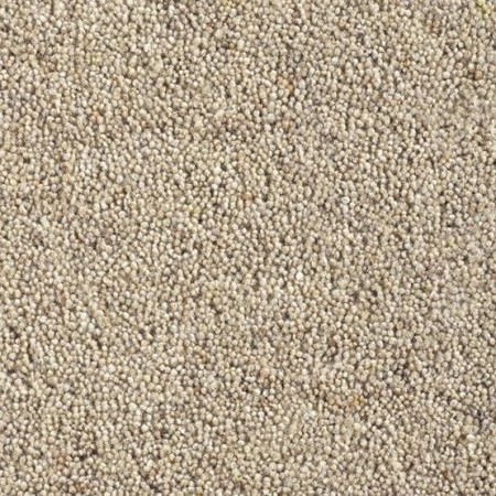 Catania 45oz Wool Twist Carpet - Cookie Catania 45oz Wool Twist Carpet - Cookie