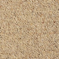 Catania 45oz Wool Twist Carpet - Custard