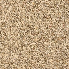 Catania 45oz Wool Twist Carpet - Custard