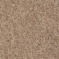 Catania 45oz Wool Twist Carpet - Digestive