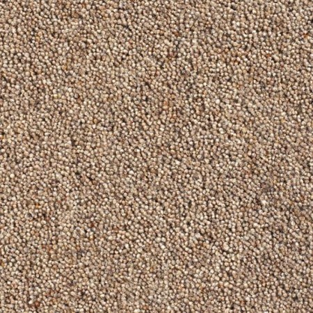 Catania 45oz Wool Twist Carpet - Digestive Catania 45oz Wool Twist Carpet - Digestive