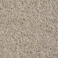 Catania 45oz Wool Twist Carpet - Hobnob