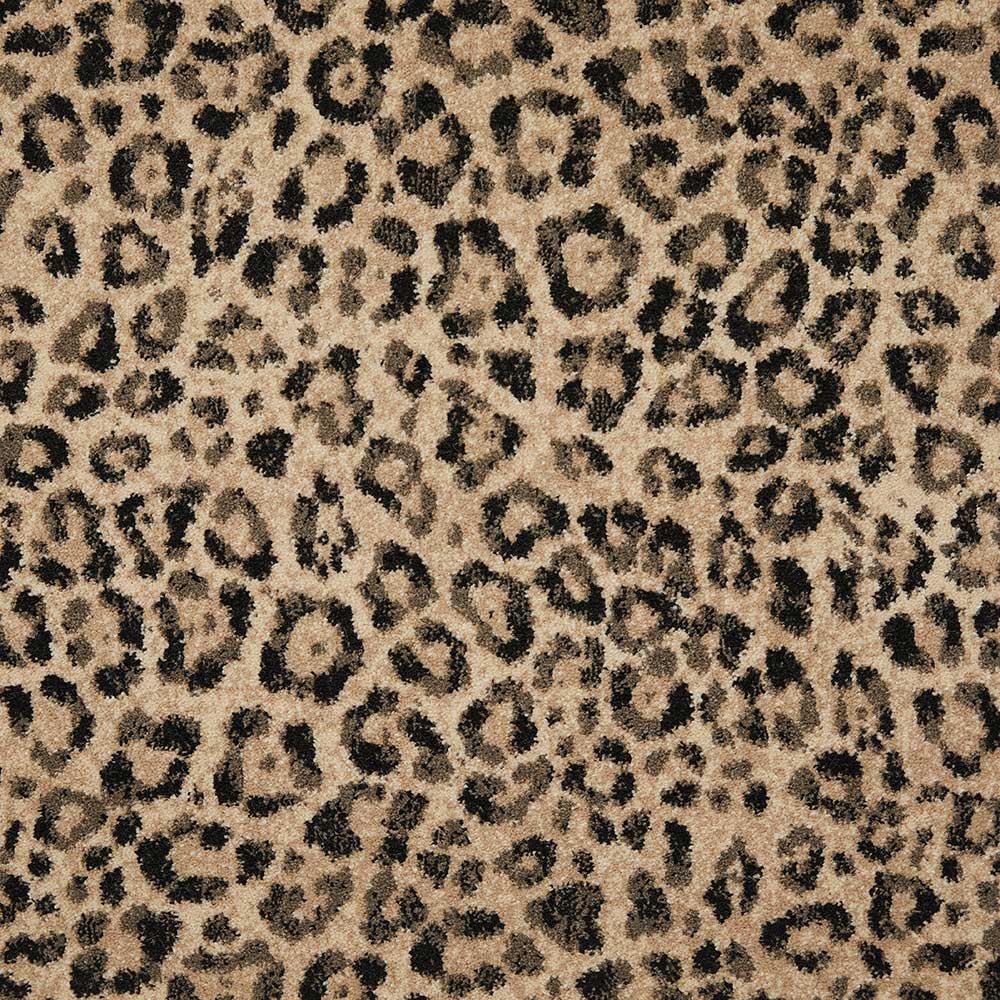 Wallace Wilton Carpet - Dunbar Wallace Wilton Carpet - Dunbar