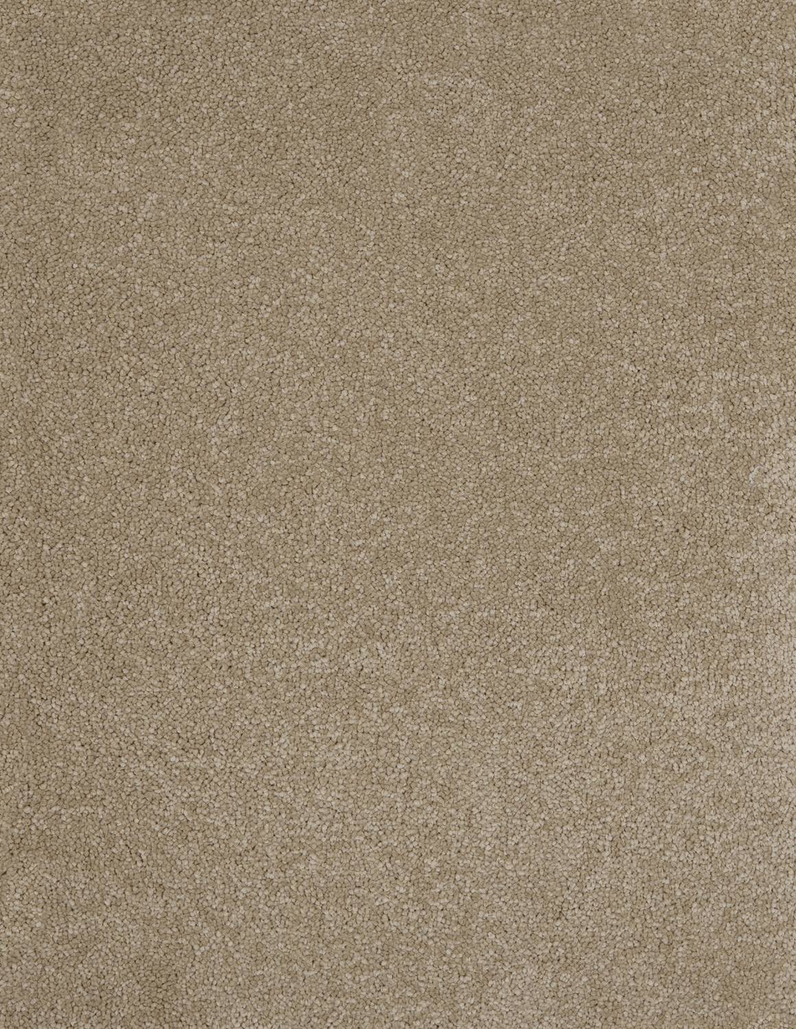 Aries Twist Carpet - 37 Sandstone