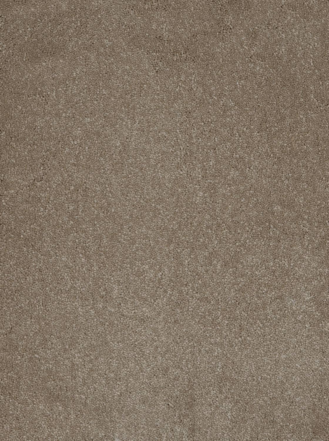 Aries Twist Carpet - 39 Fudge
