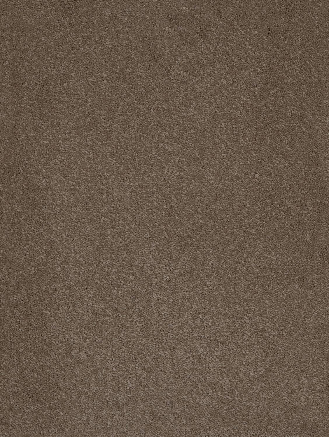 Aries Twist Carpet - 40 Moleskin