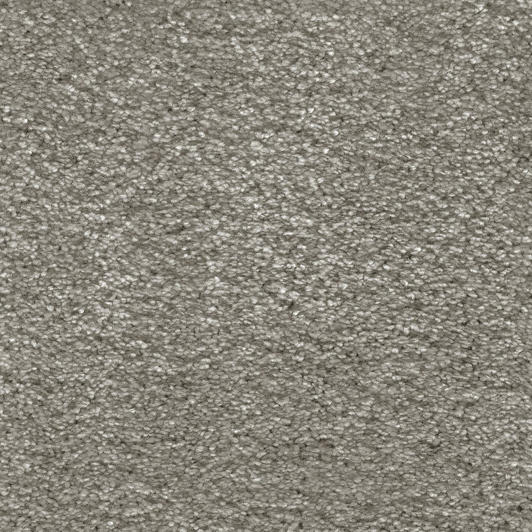 iSense Serenity Super Soft Twist Carpet - 46 Silt