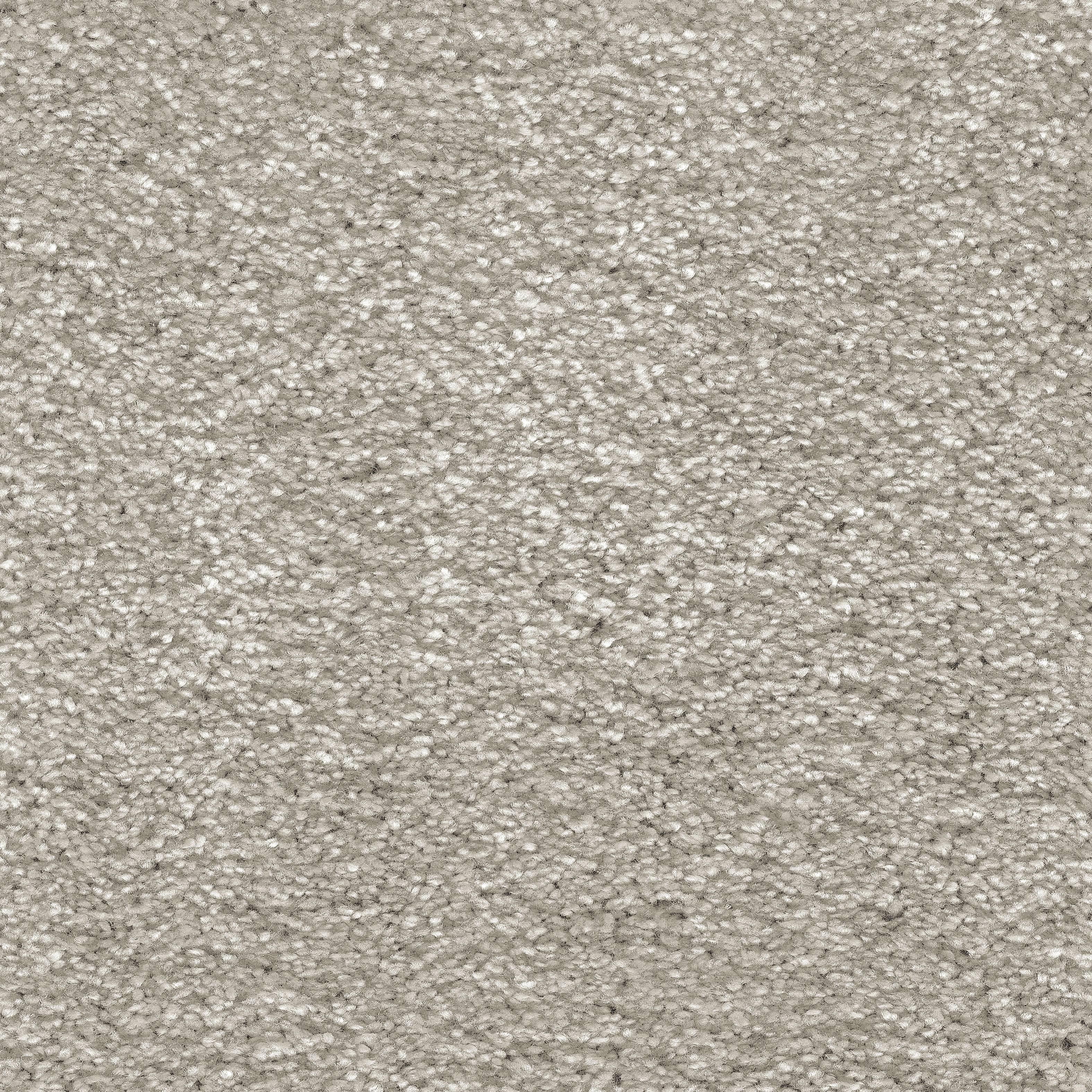 iSense Serenity Super Soft Twist Carpet - 47 Hessian