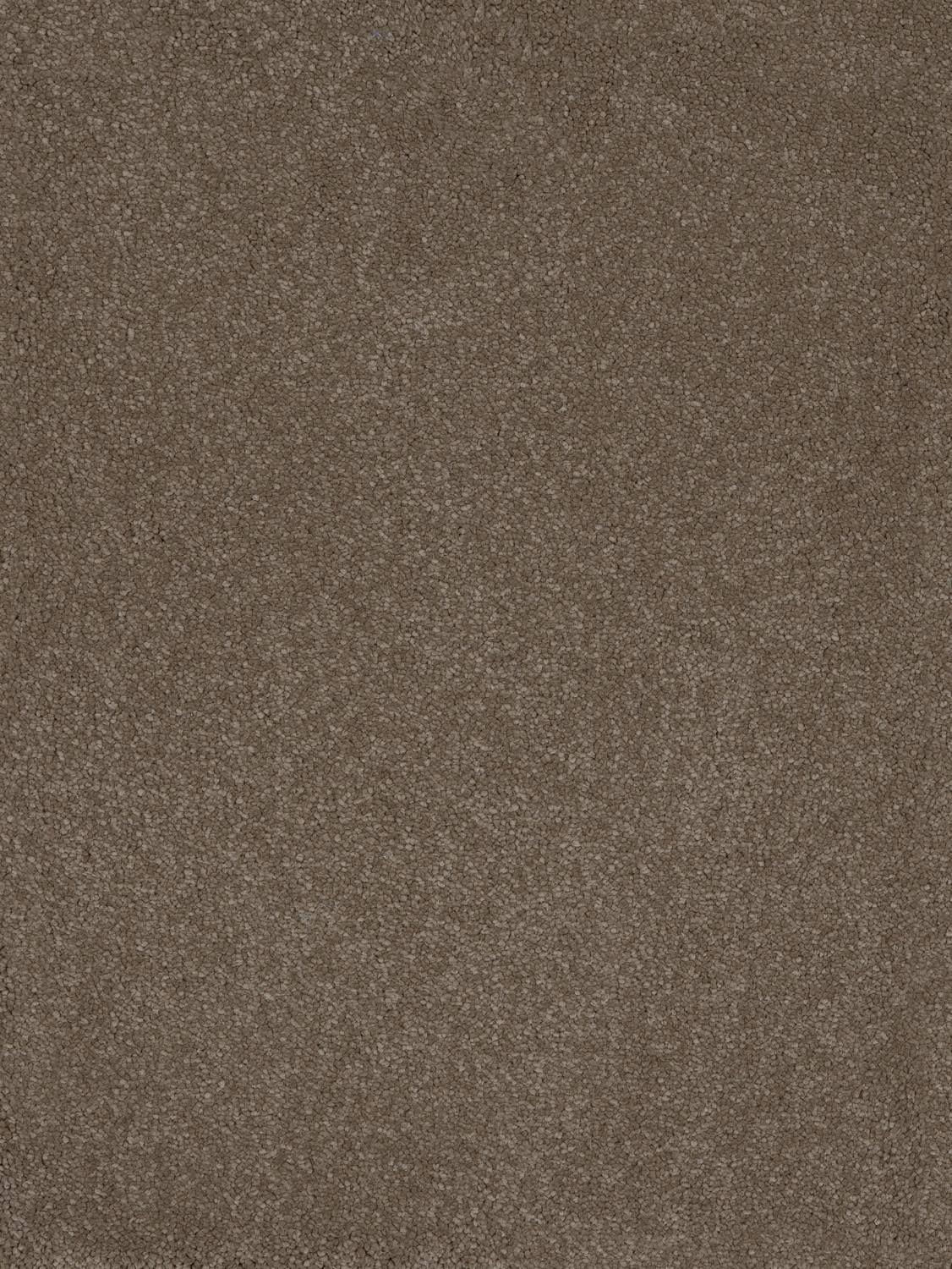 Taurus Twist Carpet - 40 Moleskin