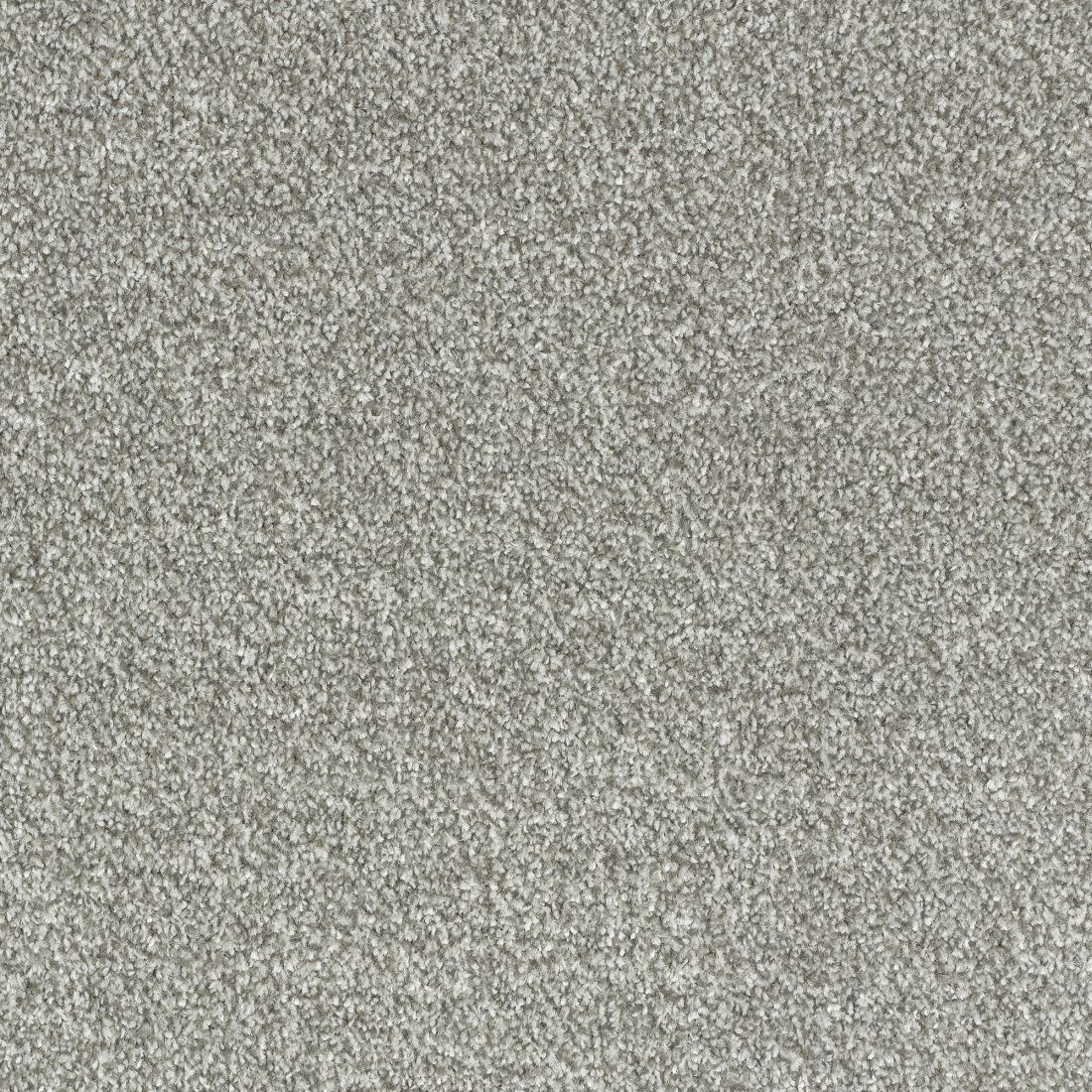 Stainfree Bella Twist Carpet - Cirrus 18