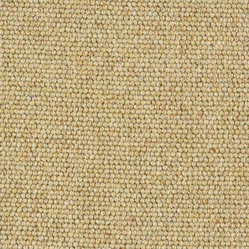 Charter Berber Wool Loop Carpet - Honey Gold