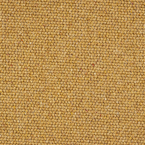 Charter Berber Wool Loop Carpet - Mustard