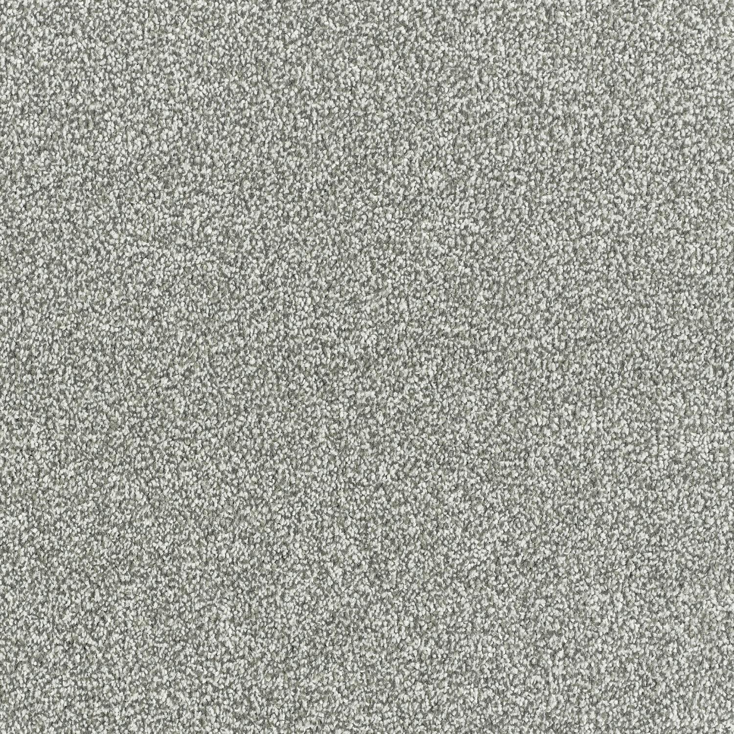 Stainfree Maximus Saxony Carpet - French Grey