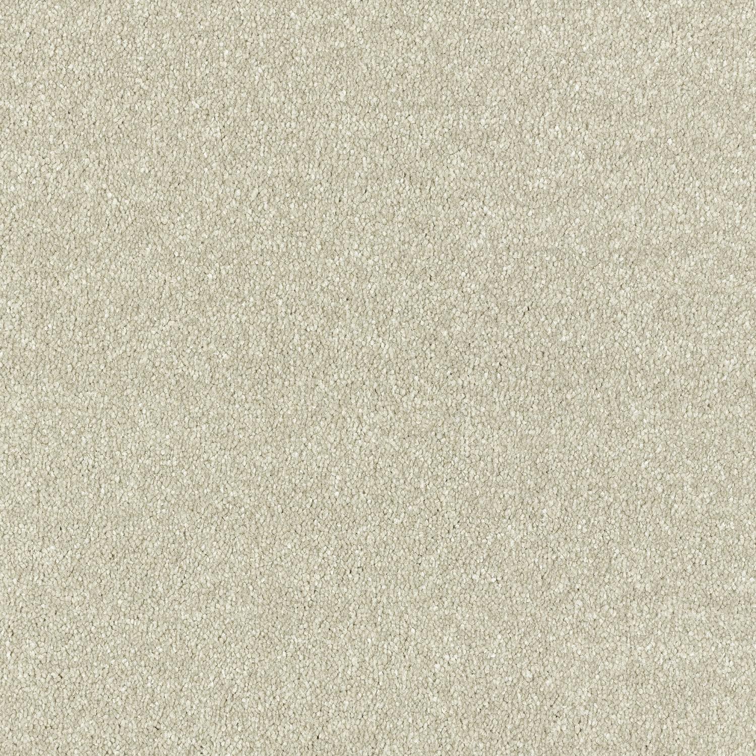 Stainfree Maximus Saxony Carpet - Parchment