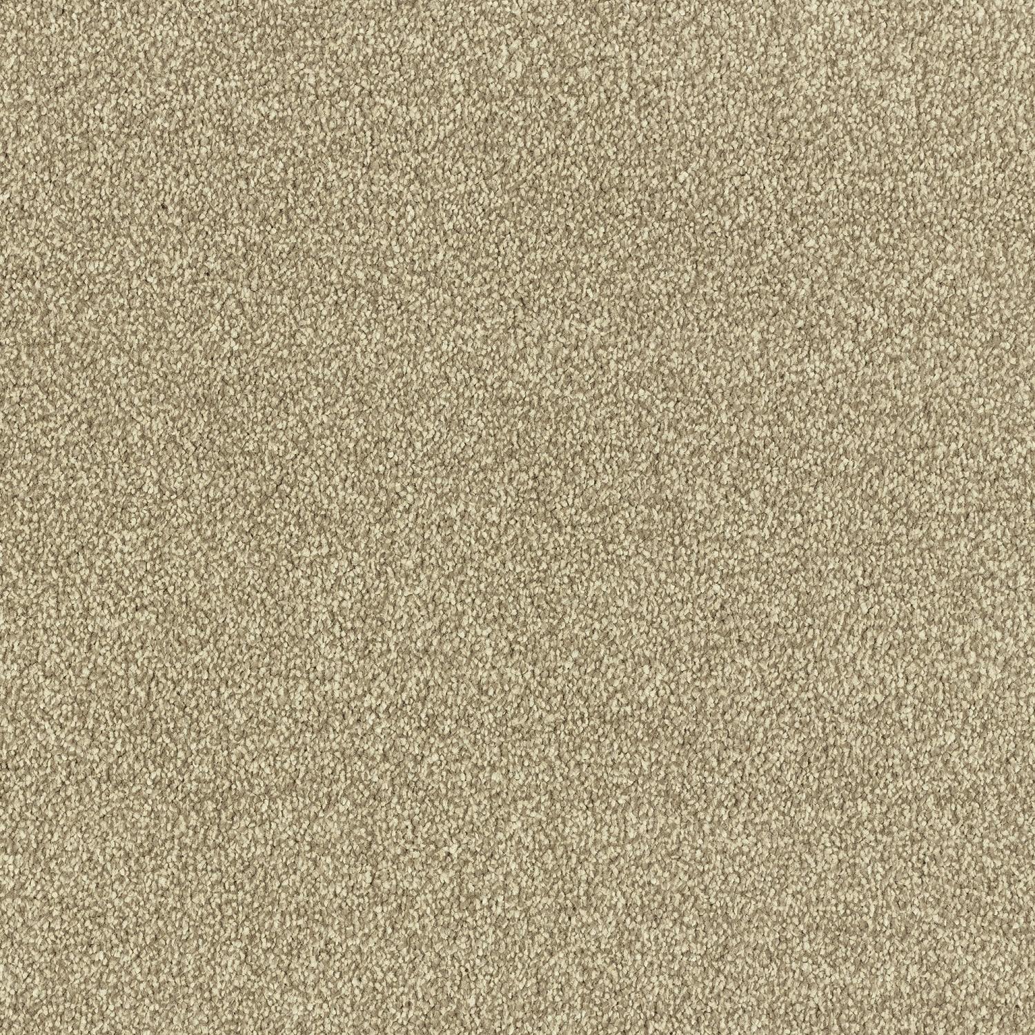 Stainfree Maximus Saxony Carpet - Biscotti
