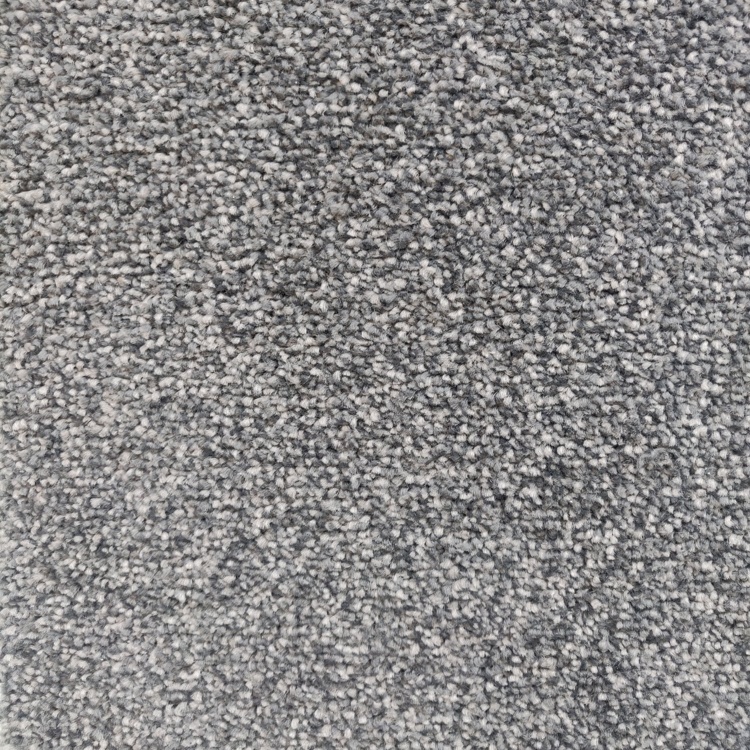 Stainfree Melody Twist Carpet - Stone Grey