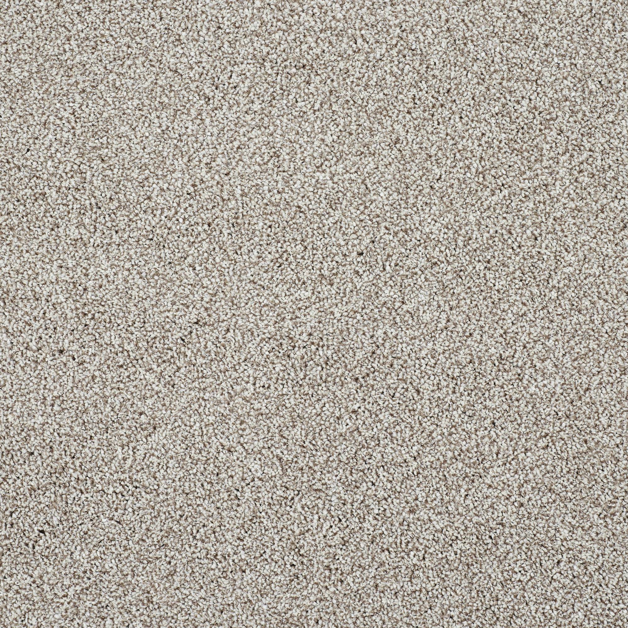 Stainfree Silkstone Twist Carpet - 01 Tapestry