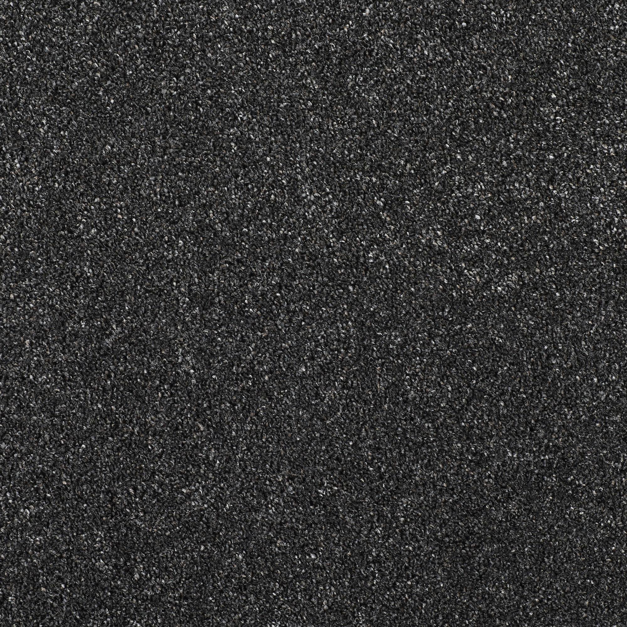 Stainfree Silkstone Twist Carpet - 02 Black Magic