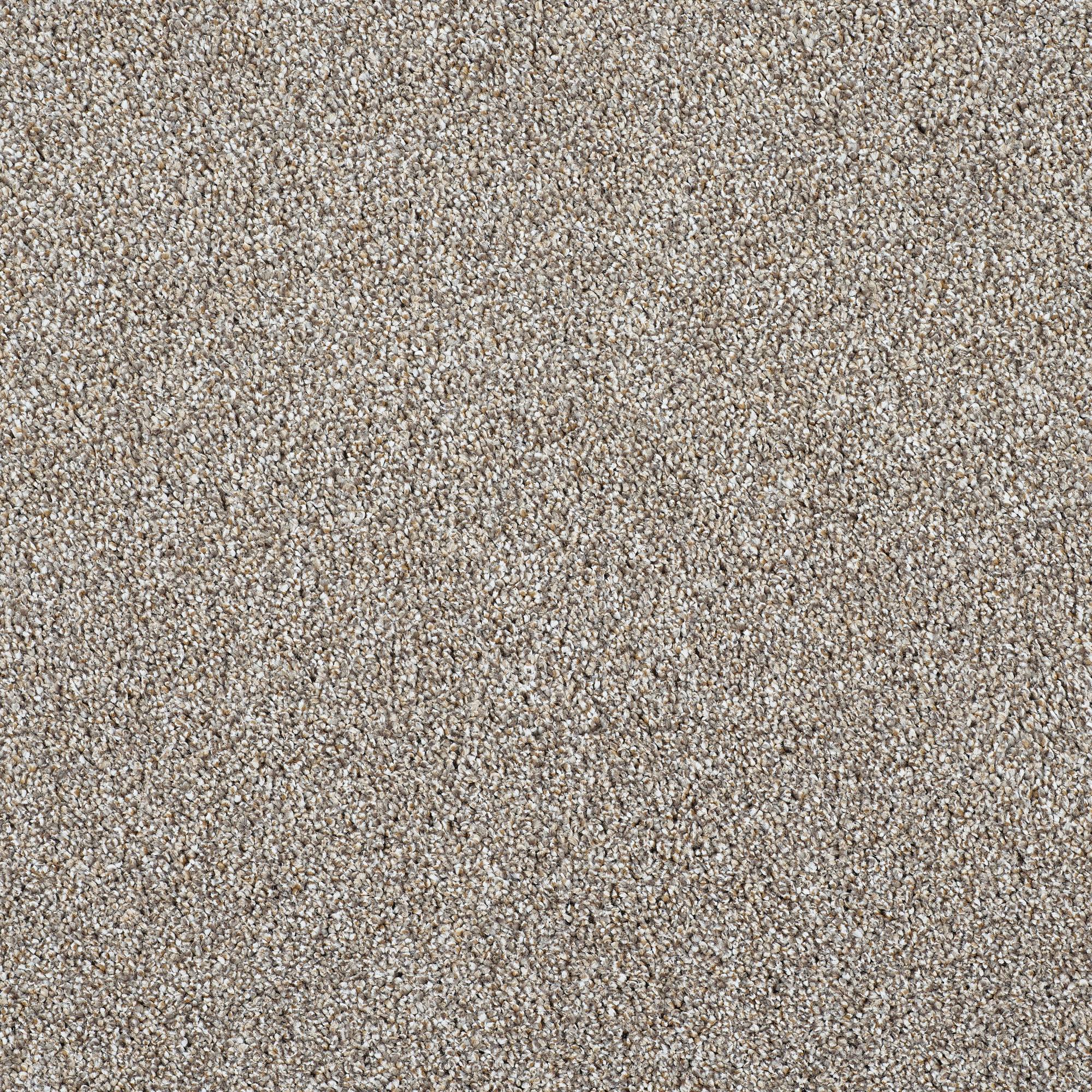Stainfree Silkstone Twist Carpet - 10 All Spice