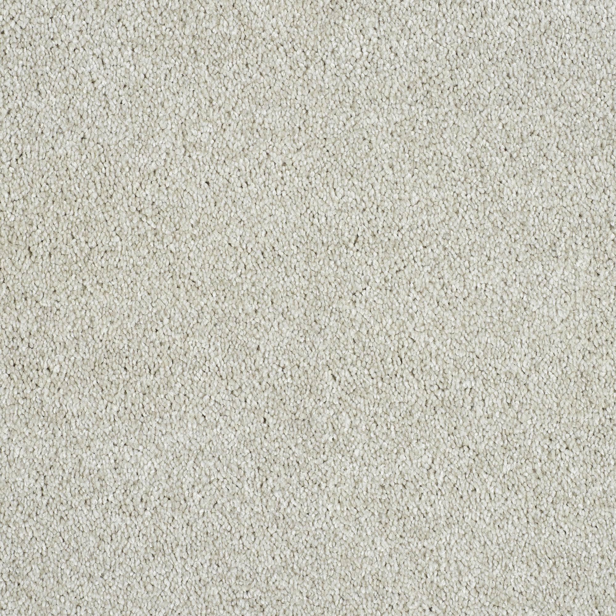 Soft Whisper Super Soft Saxony Carpet - Frost