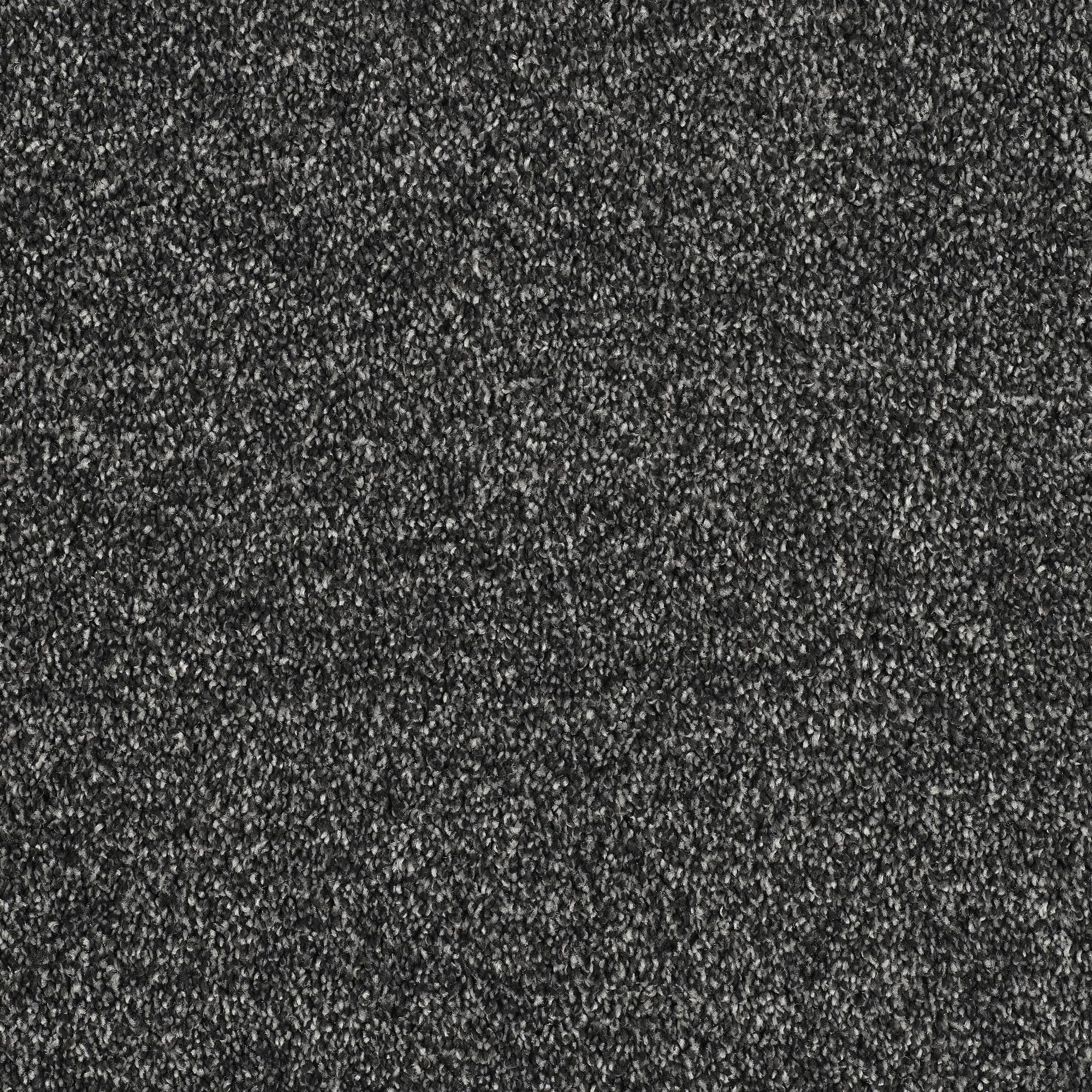 Soft Whisper Super Soft Saxony Carpet - Anthracite