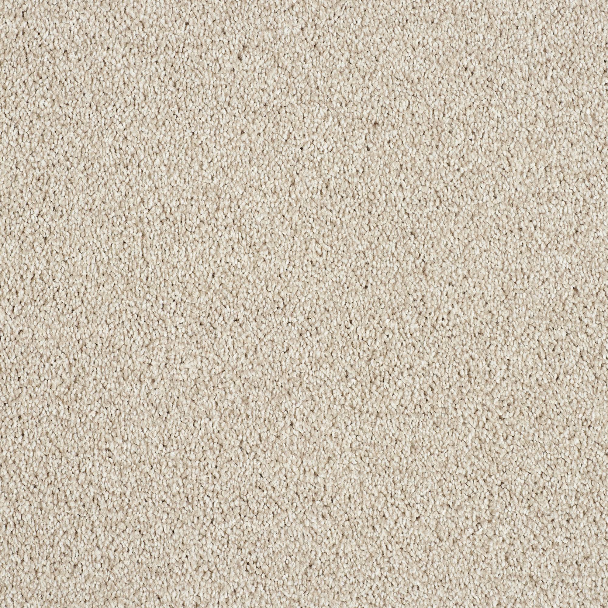Soft Whisper Super Soft Saxony Carpet - Chiffon
