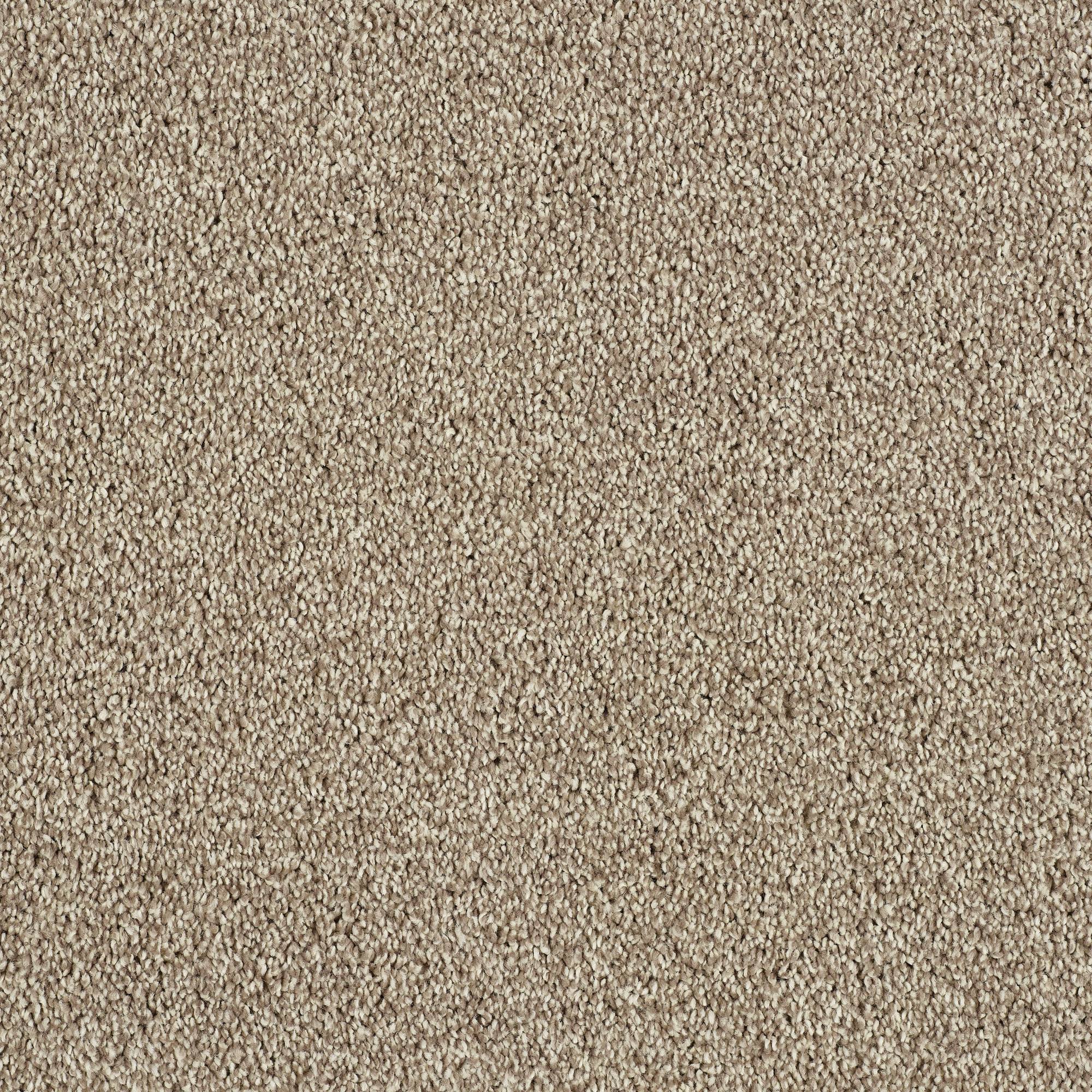 Soft Whisper Super Soft Saxony Carpet - Tapestry