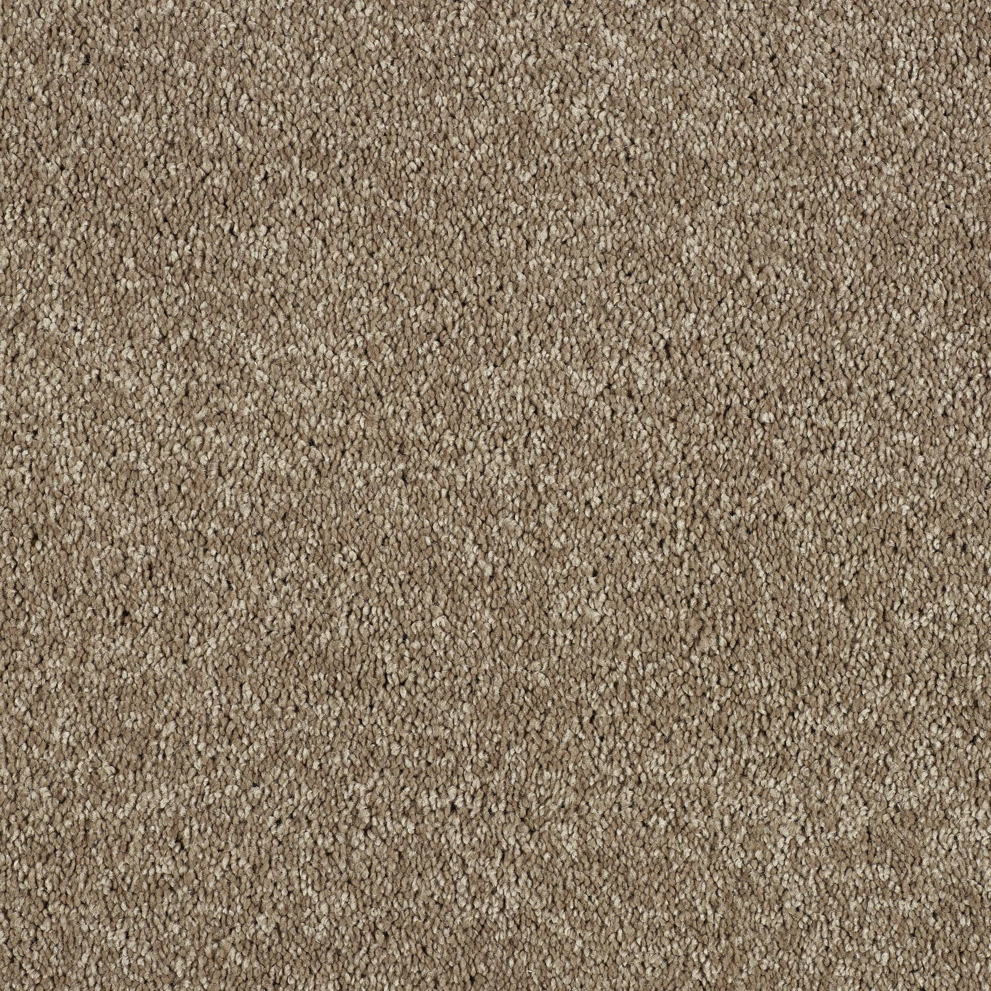 Soft Whisper Super Soft Saxony Carpet - Velvet Taupe
