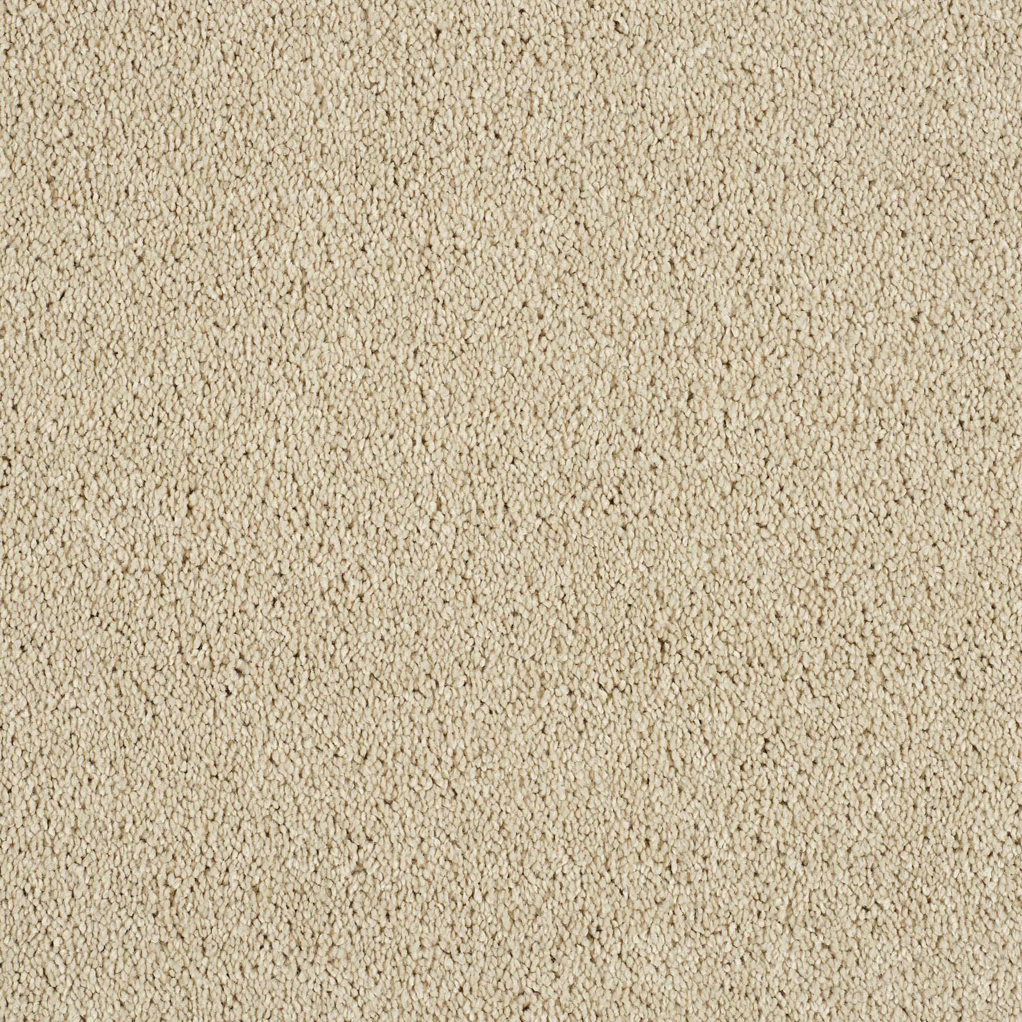 Soft Whisper Super Soft Saxony Carpet - Honey Dew