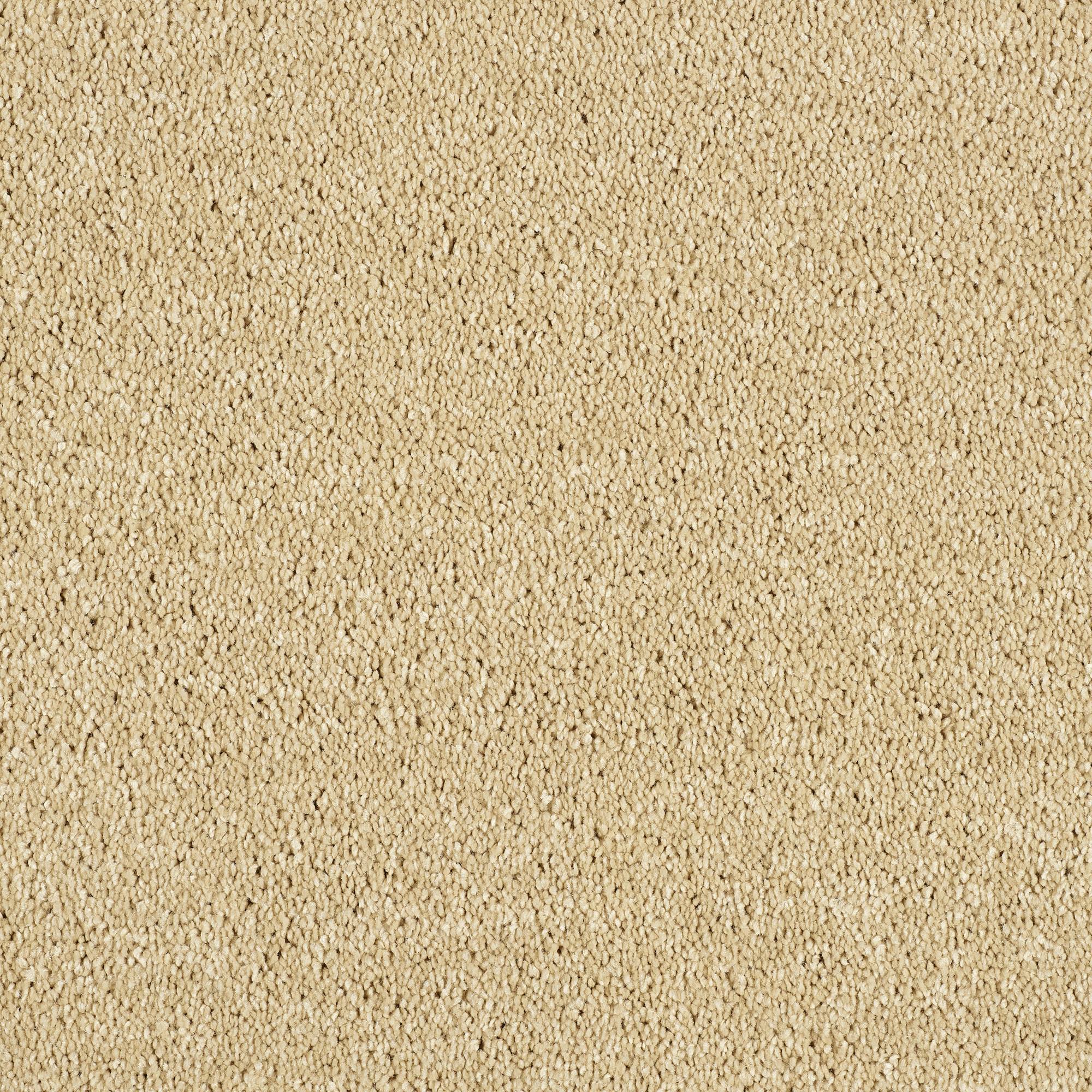 Soft Whisper Super Soft Saxony Carpet - Soft Sandstone