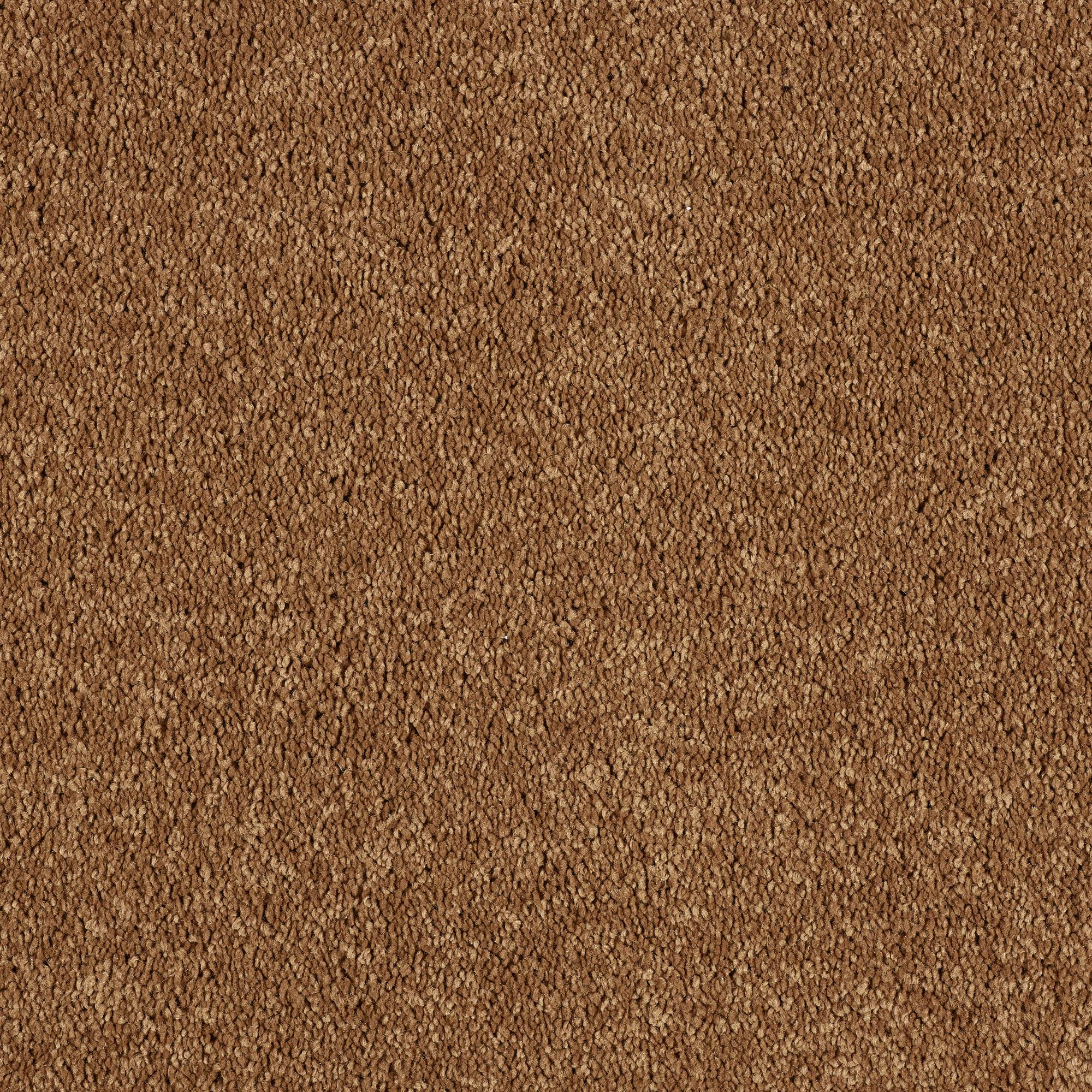 Soft Whisper Super Soft Saxony Carpet - Autumn Flame
