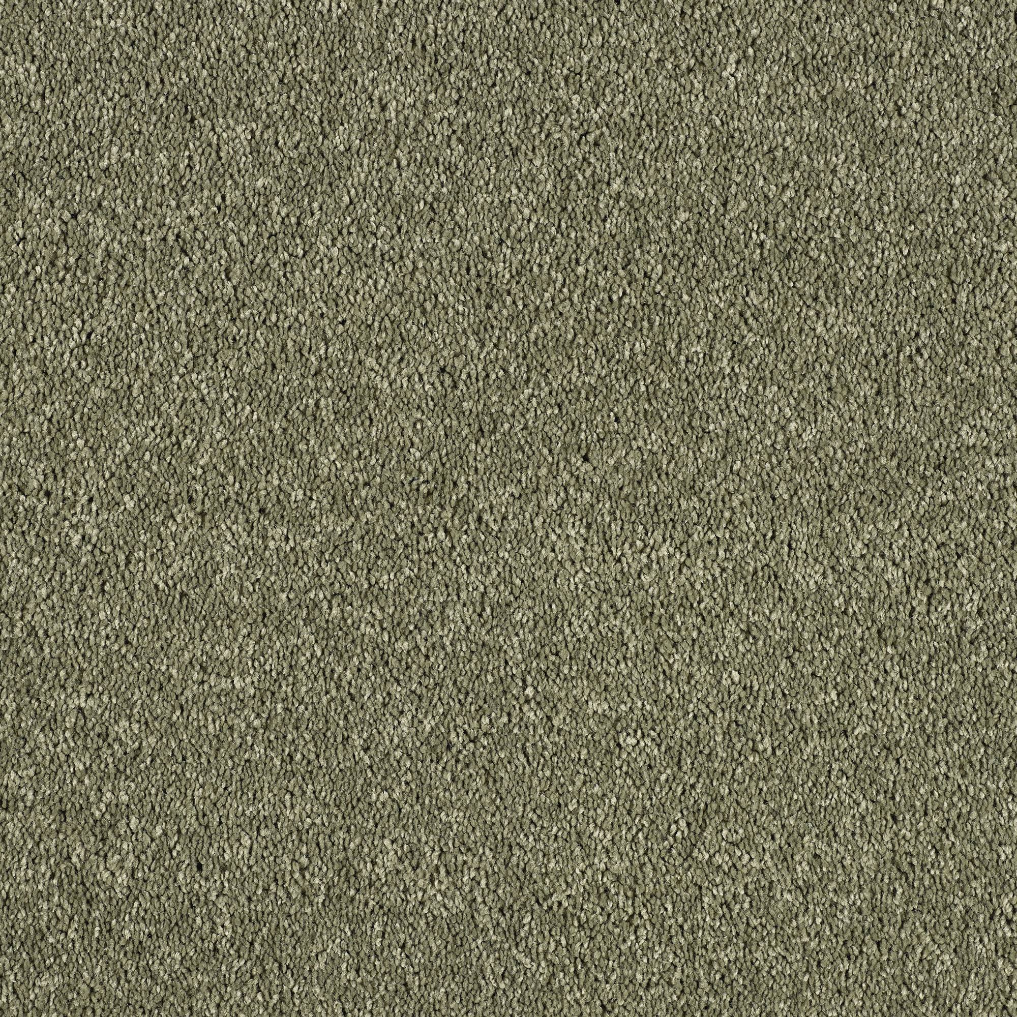 Soft Whisper Super Soft Saxony Carpet - Oasis