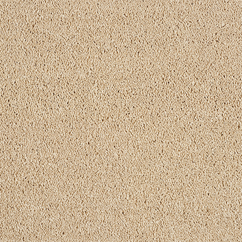 Soft Whisper Super Soft Saxony Carpet - Caramel Cream Soft Whisper Super Soft Saxony Carpet - Caramel Cream