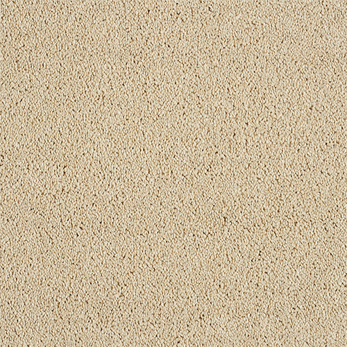 Soft Whisper Super Soft Saxony Carpet - Honey Dew Soft Whisper Super Soft Saxony Carpet - Honey Dew