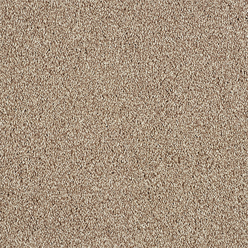 Soft Whisper Super Soft Saxony Carpet - Tapestry Soft Whisper Super Soft Saxony Carpet - Tapestry