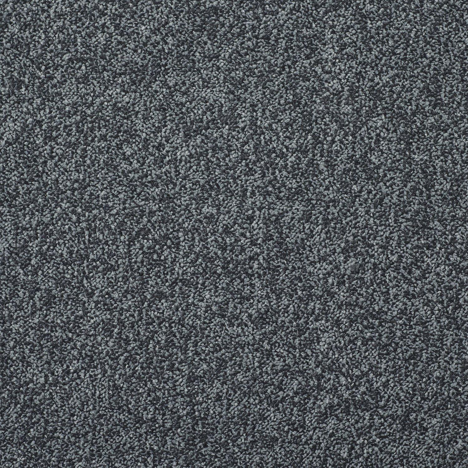 Stainfree Timeless Twist Carpet - 95 Anthracite