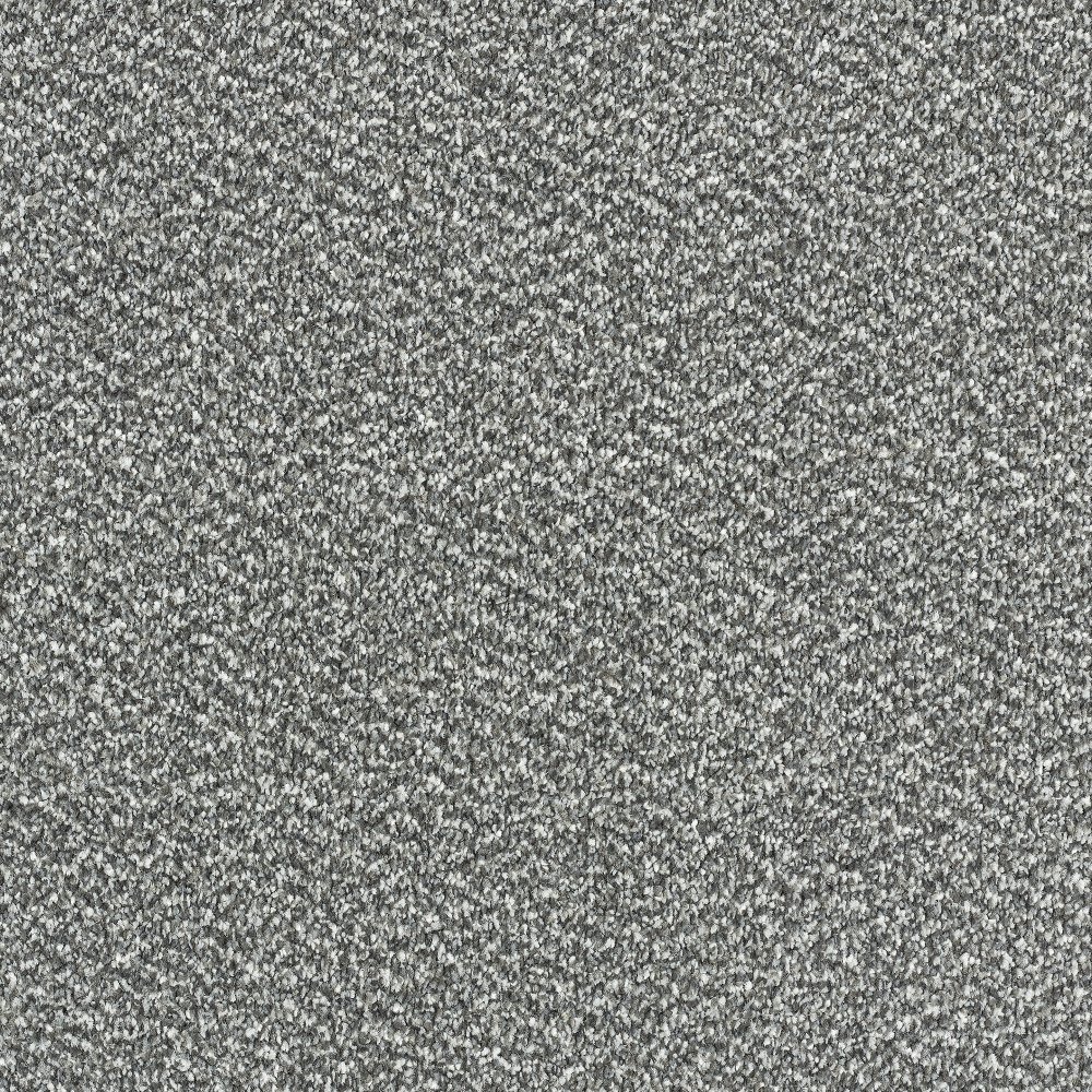 Invincible Tweed Stain Resistant Twist Carpet - Goose