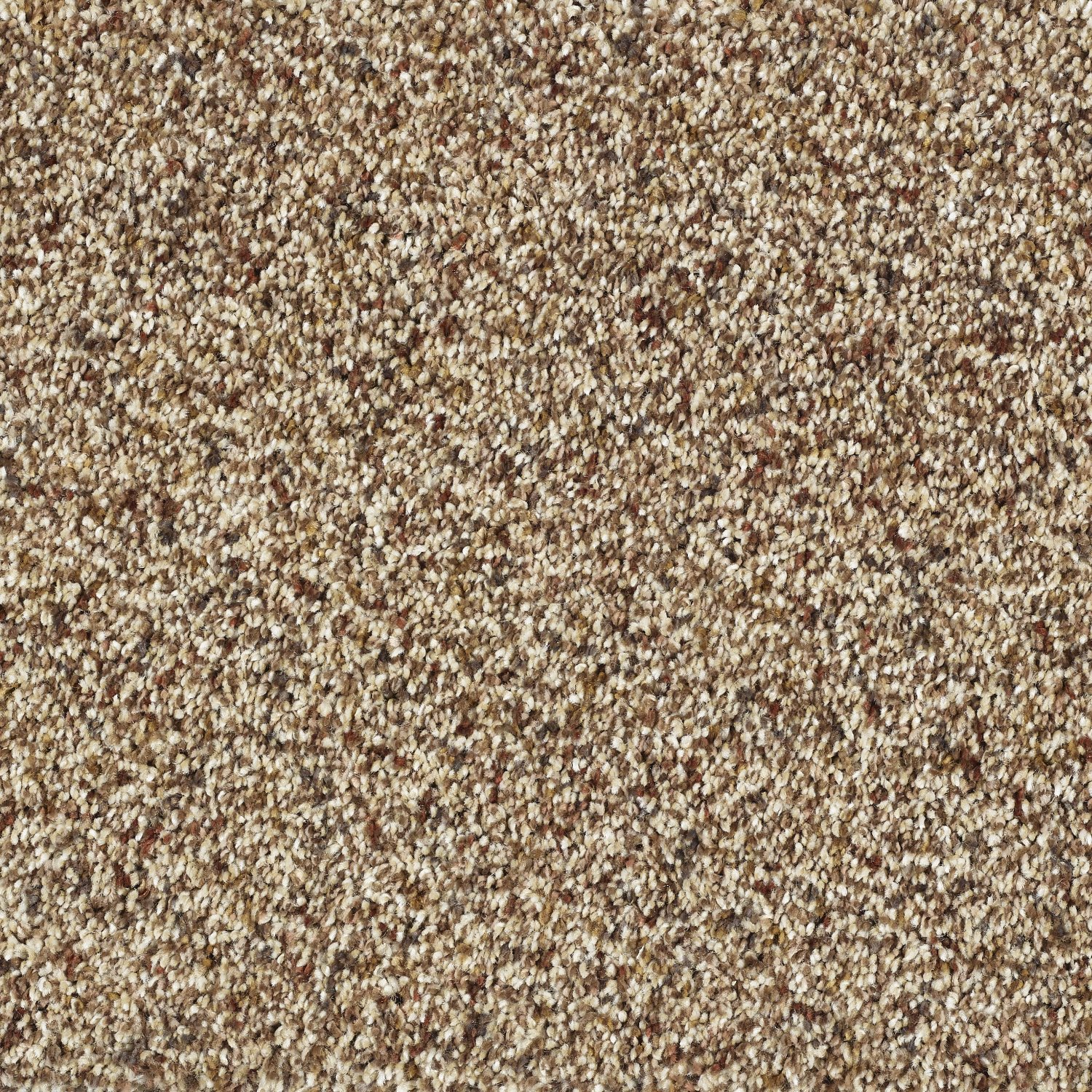 Wild Silk Super Soft Saxony Carpet - Cinnamon