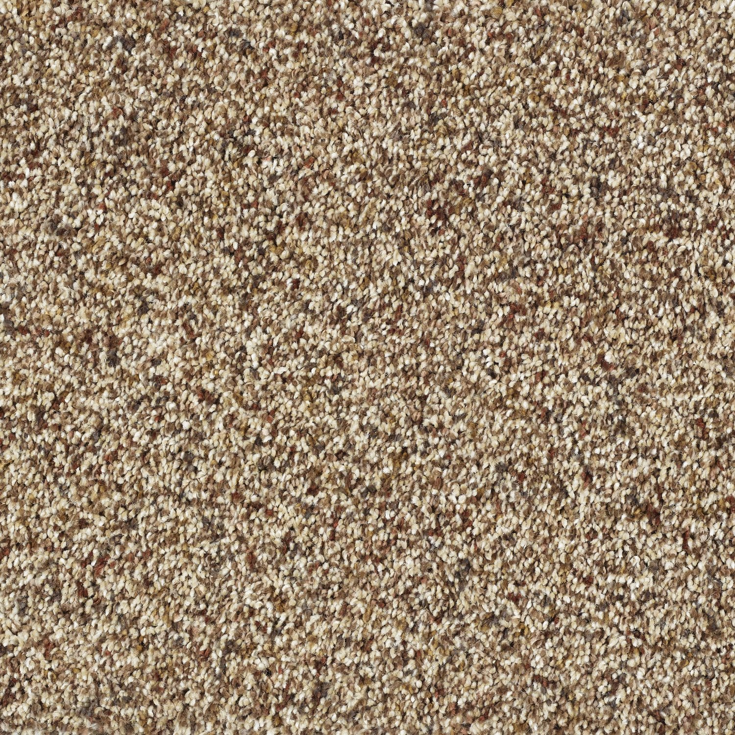 Wild Silk Super Soft Saxony Carpet - Cinnamon Wild Silk Super Soft Saxony Carpet - Cinnamon