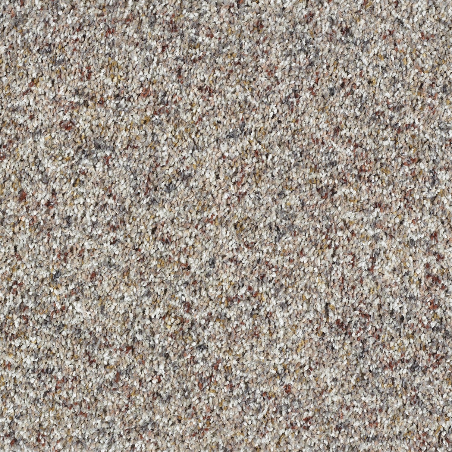 Wild Silk Super Soft Saxony Carpet - Confetti