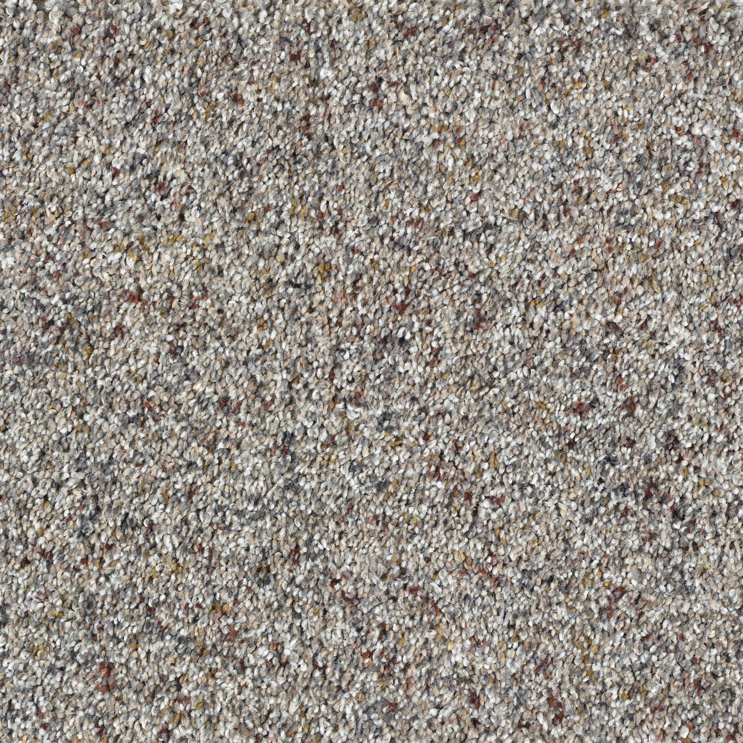 Wild Silk Super Soft Saxony Carpet - Hazy Grey