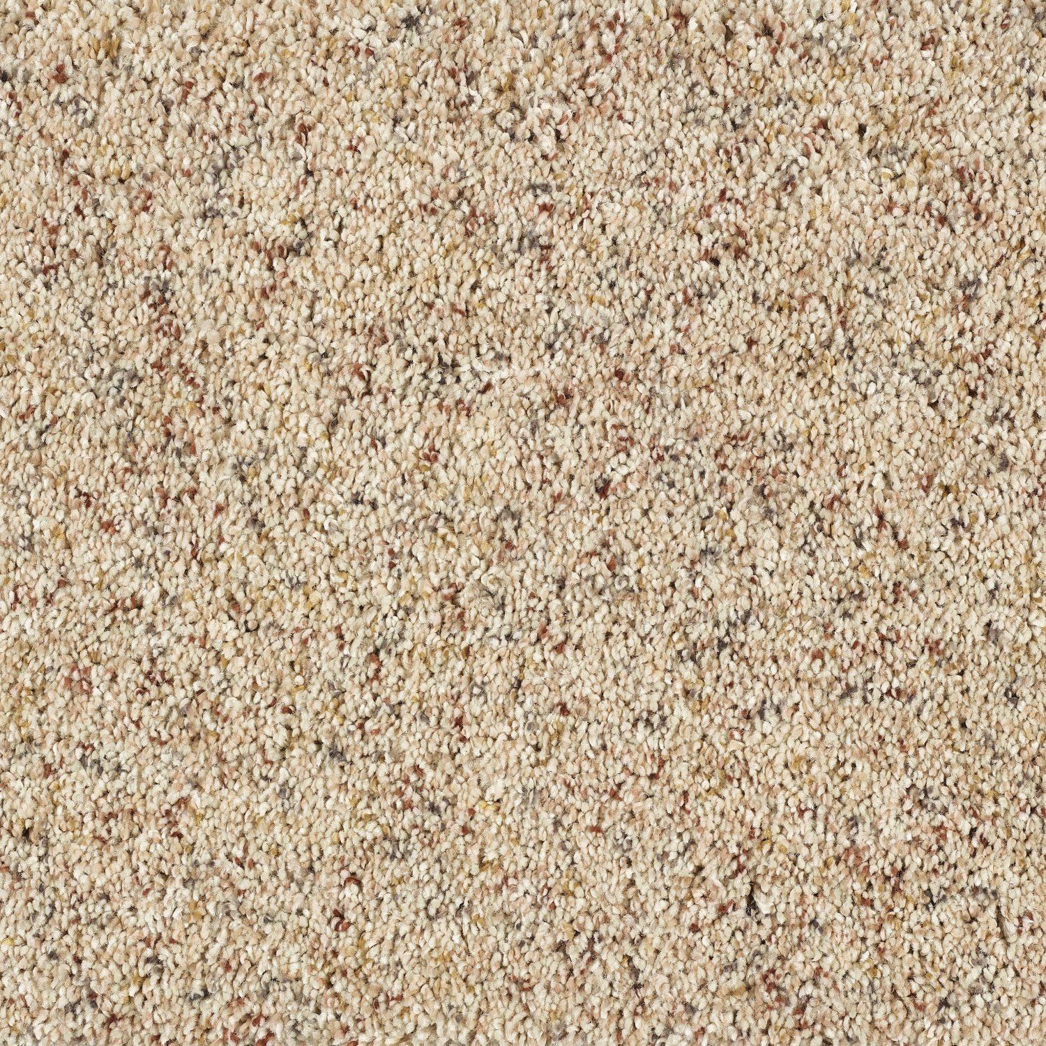 Wild Silk Super Soft Saxony Carpet - Pebble Beach