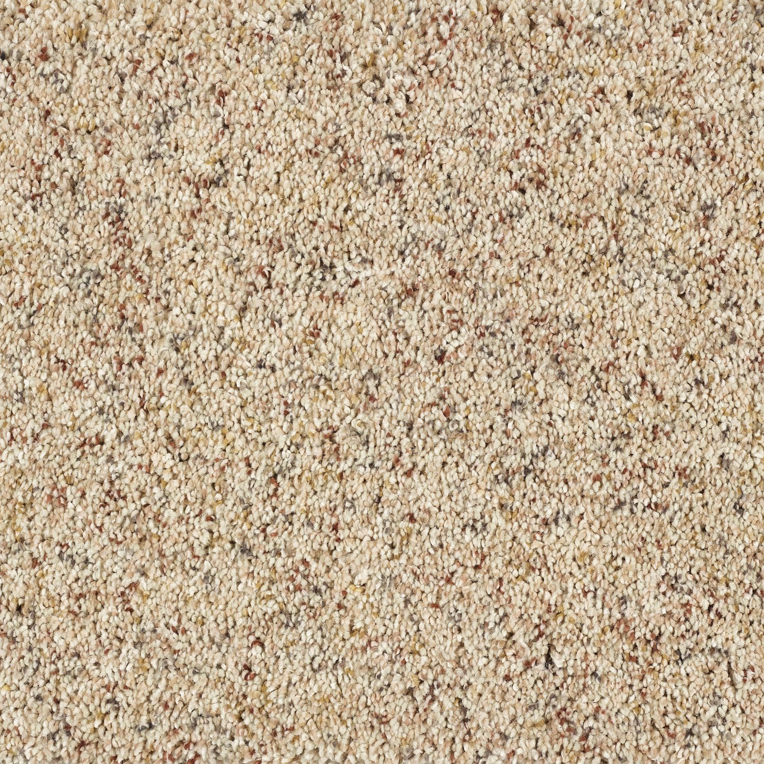 Wild Silk Super Soft Saxony Carpet - Pebble Beach Wild Silk Super Soft Saxony Carpet - Pebble Beach