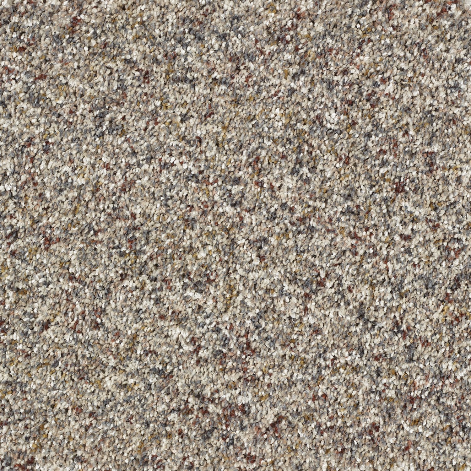 Wild Silk Super Soft Saxony Carpet - Riviera