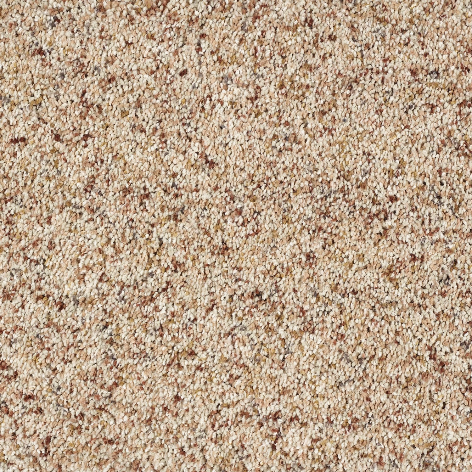 Wild Silk Super Soft Saxony Carpet - Sandstorm