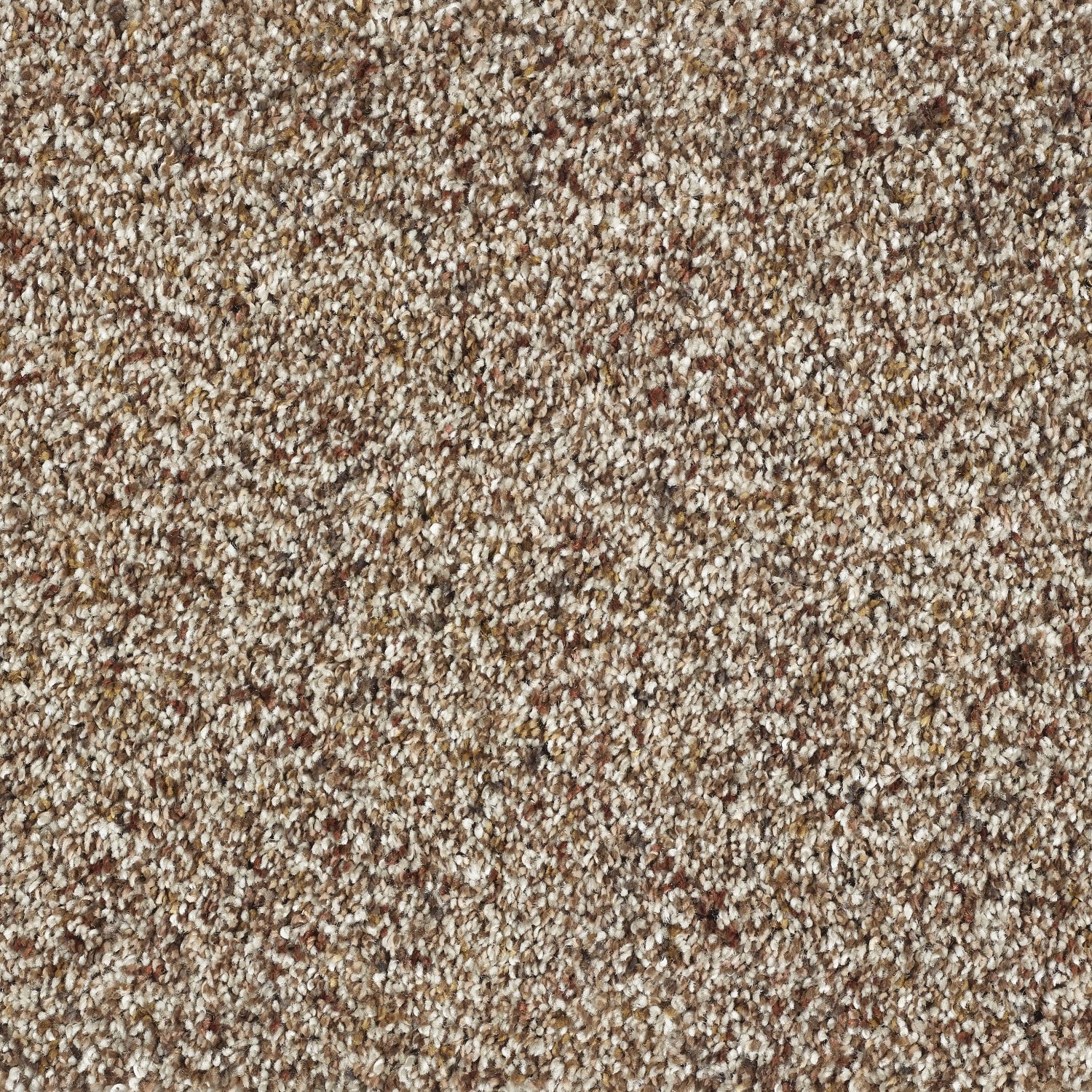 Wild Silk Super Soft Saxony Carpet - Treasure Island