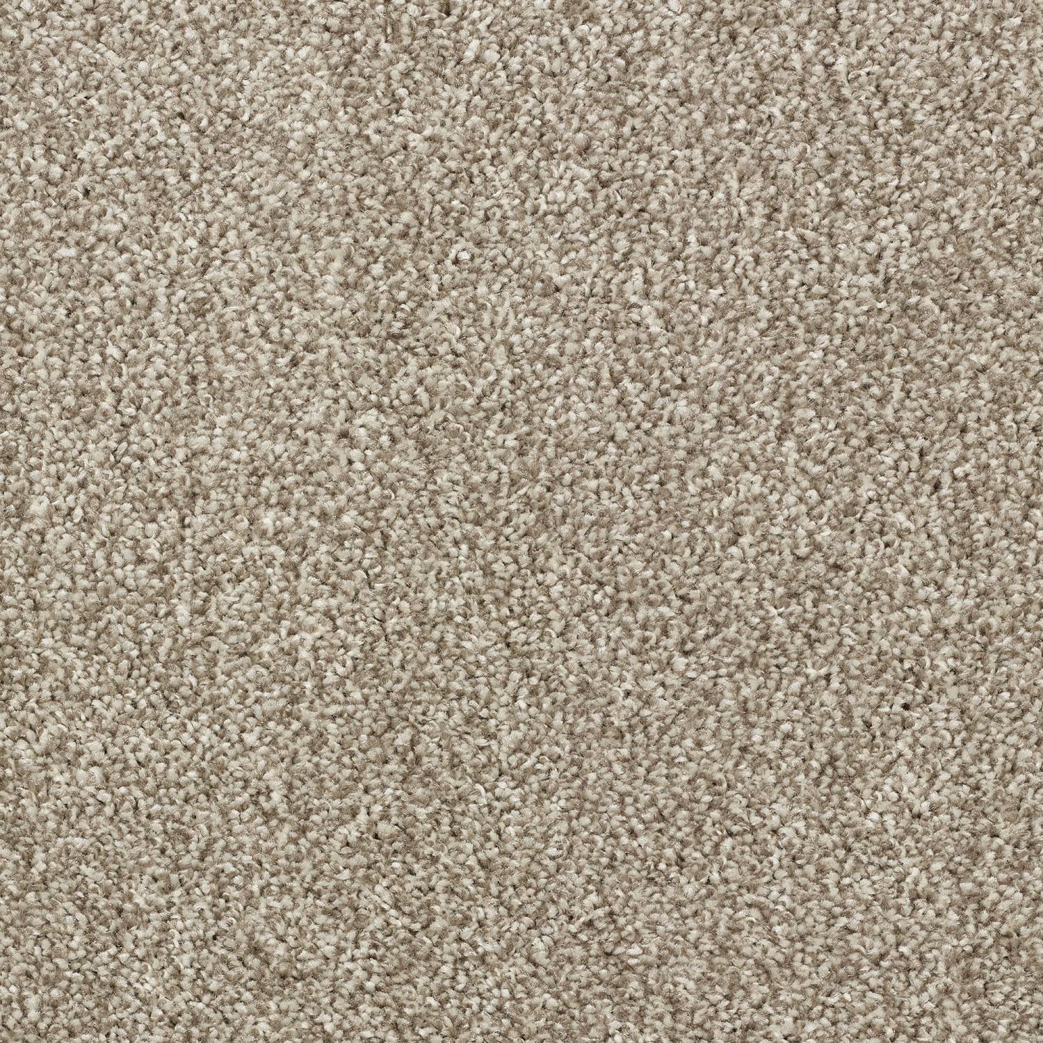 Stainfree Affluence Twist Carpet - 01 Tuscan