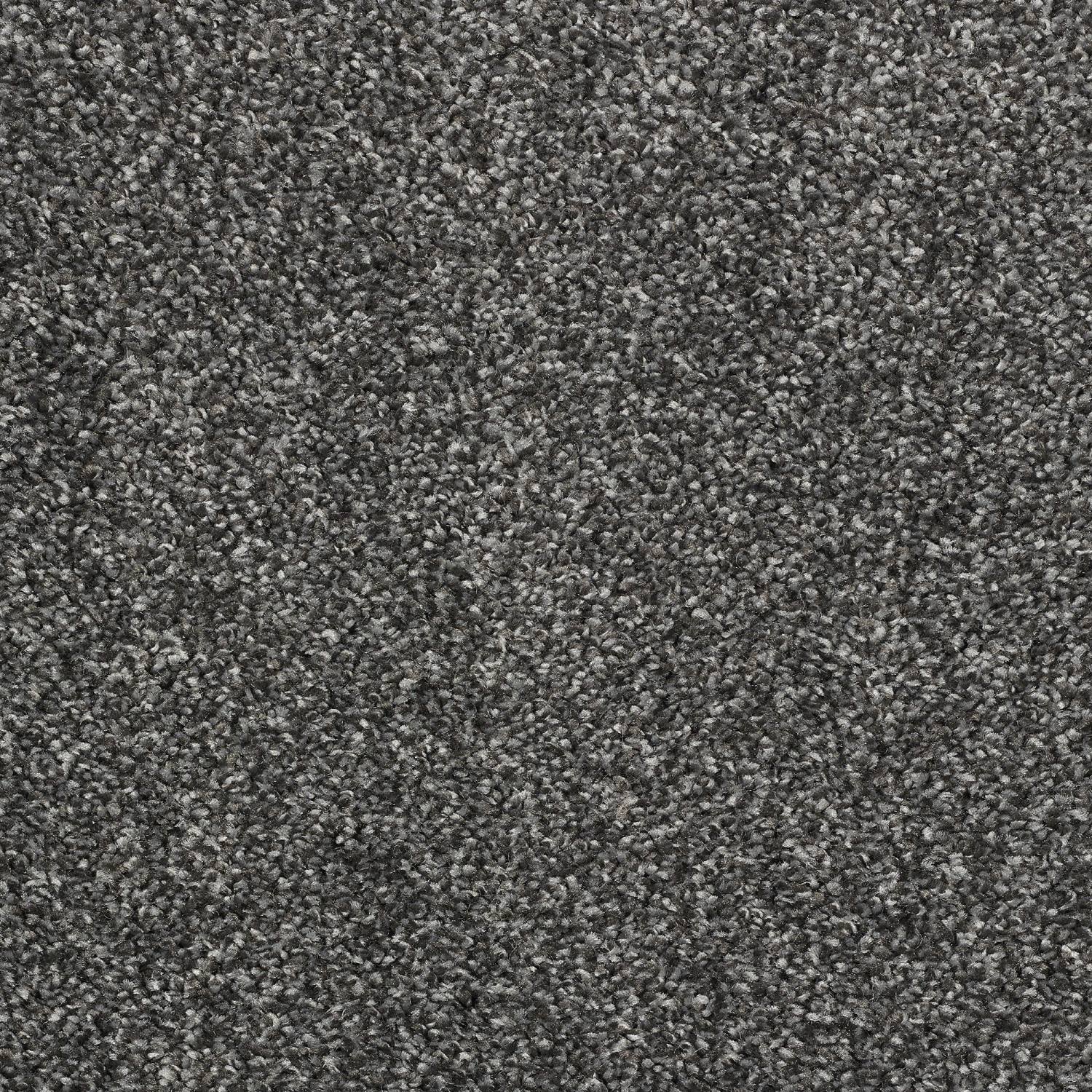 Stainfree Affluence Twist Carpet - 05 Platinum Storm