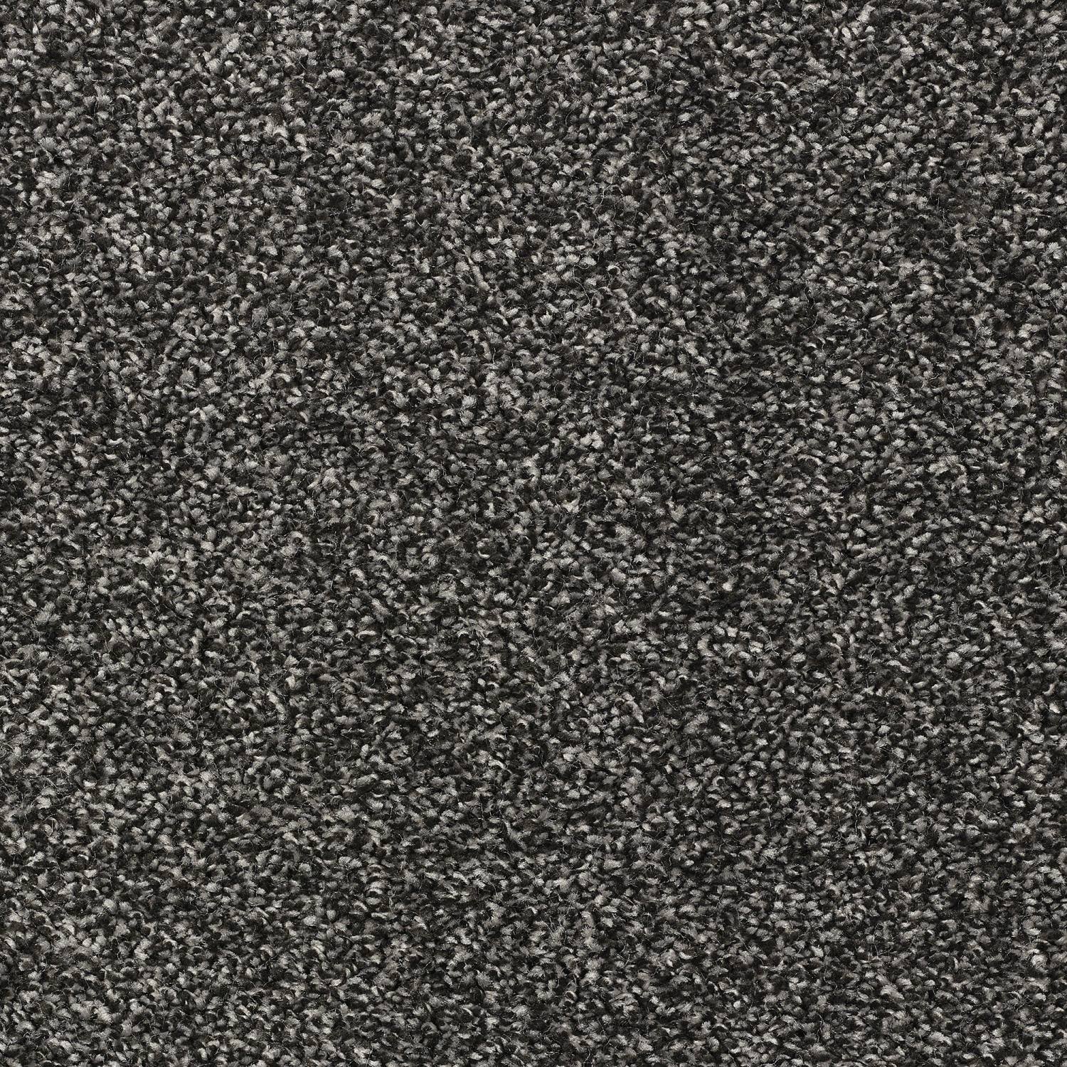 Stainfree Affluence Twist Carpet - 07 Anthracite